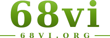68vi logo